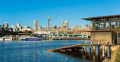 Sydney Fish Market