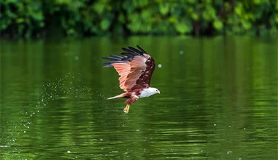 Kilim Geoforest Park