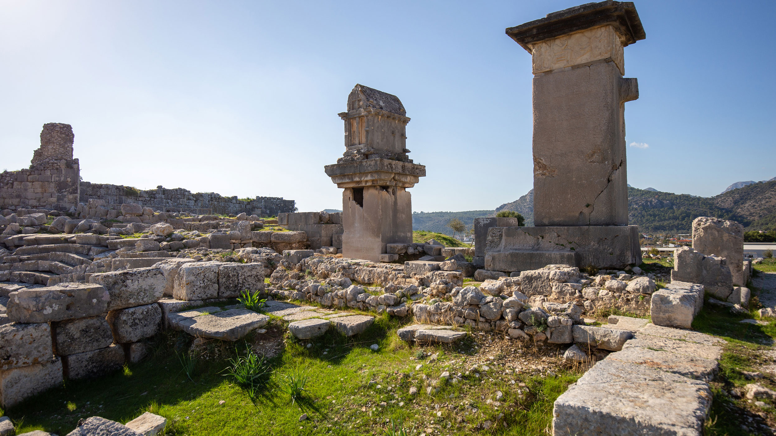 Section Image