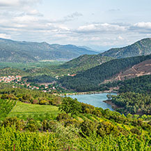 Kasnak Oak Nature Reserve