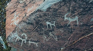 Petroglyphic Complexes of the Mongolian Altai