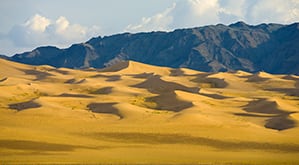 Khongor Sand Dunes