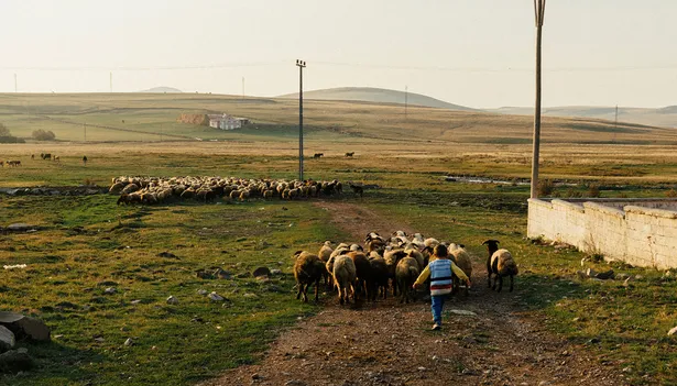 The magic of Kars lies in its culinary delights, ancient heritage, and scenic landscapes