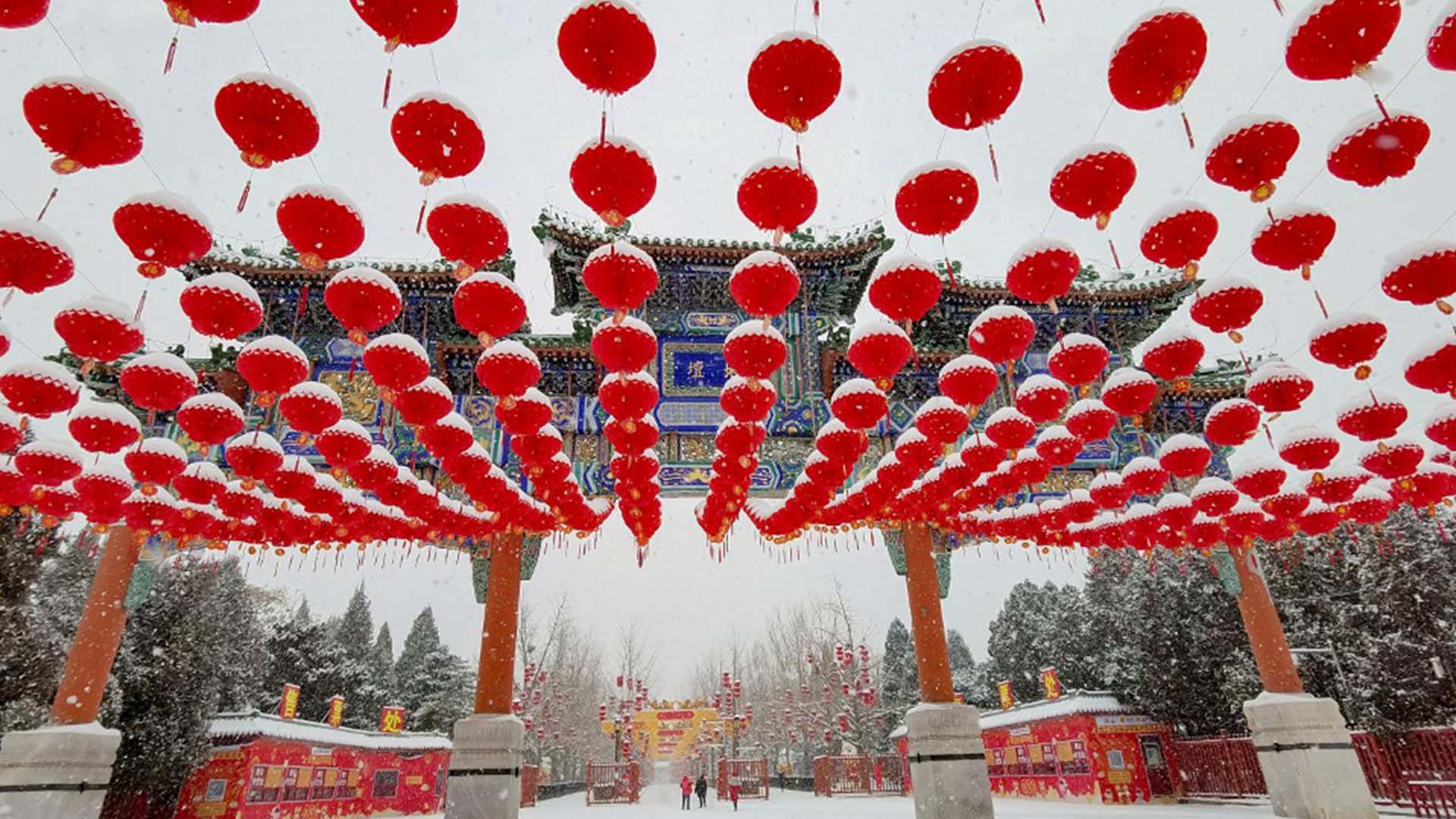 Chinese New Year 2022: What to Know About the Chinese Lantern Festival